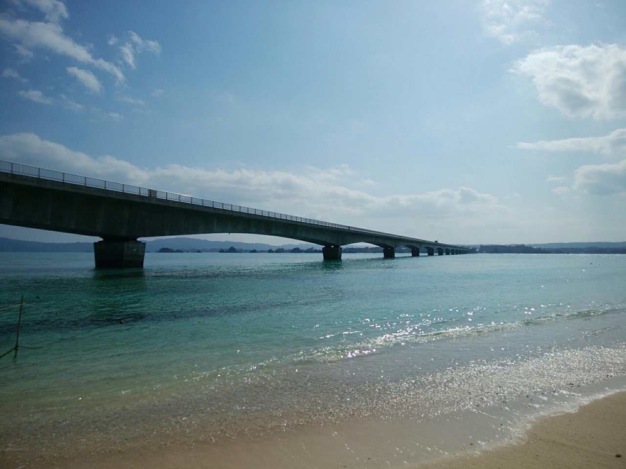 週末ひとり旅 19年2月沖縄 観光バスで北部観光へ 美ら海 本部 今帰仁 沖縄県 の旅行記 ブログ By Momohanaさん フォートラベル