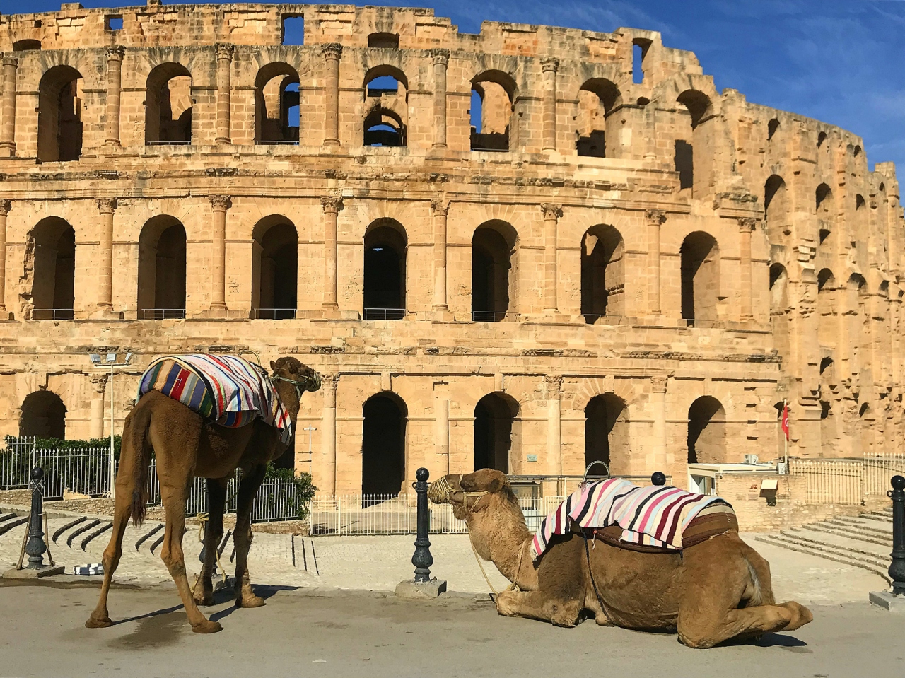 地中海の風に吹かれて マルタとチュニジアの旅 10 古代ローマ人の偉業にあっぱれ エル ジェム編 チュニジア エル ジェム チュニジア の旅行記 ブログ By Kayoさん フォートラベル