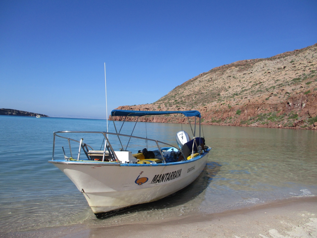 コルテス海のダイビング最高 ベストシーズンのラ パス ラパス メキシコ の旅行記 ブログ By れいろんさん フォートラベル