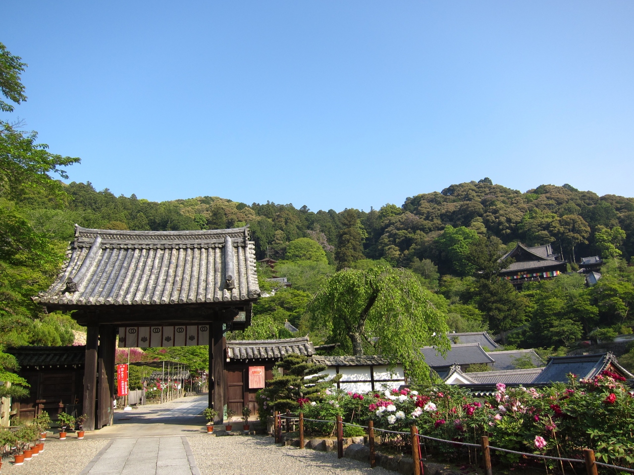 奈良はどうなんだろうと 飛鳥 奈良県 の旅行記 ブログ By 旅がらすさん フォートラベル