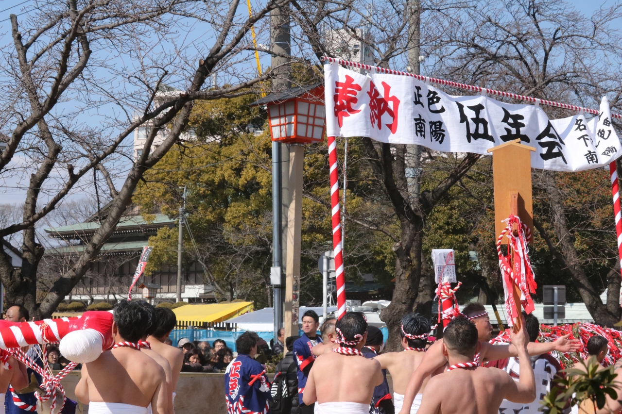 日本三大奇祭のひとつ 稲沢 国府宮はだかまつり 春の足音 平芝公園の梅 稲沢 清須 愛知県 の旅行記 ブログ By みちるさん フォートラベル