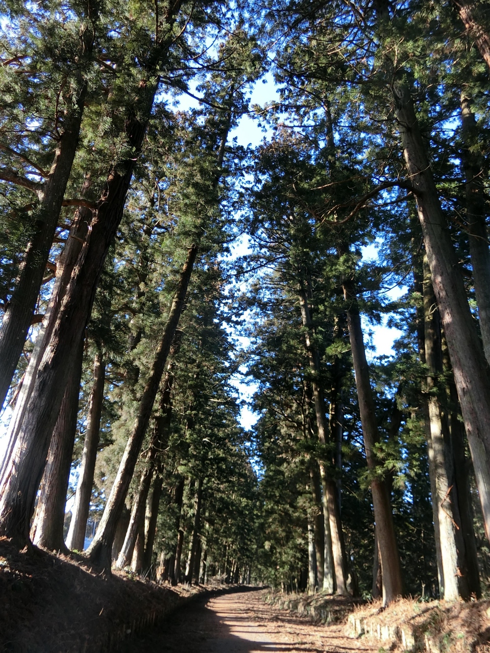 日光街道を歩く 10 宇都宮宿 大沢宿 下水無バス停 栃木県の旅行記 ブログ By まうさん フォートラベル