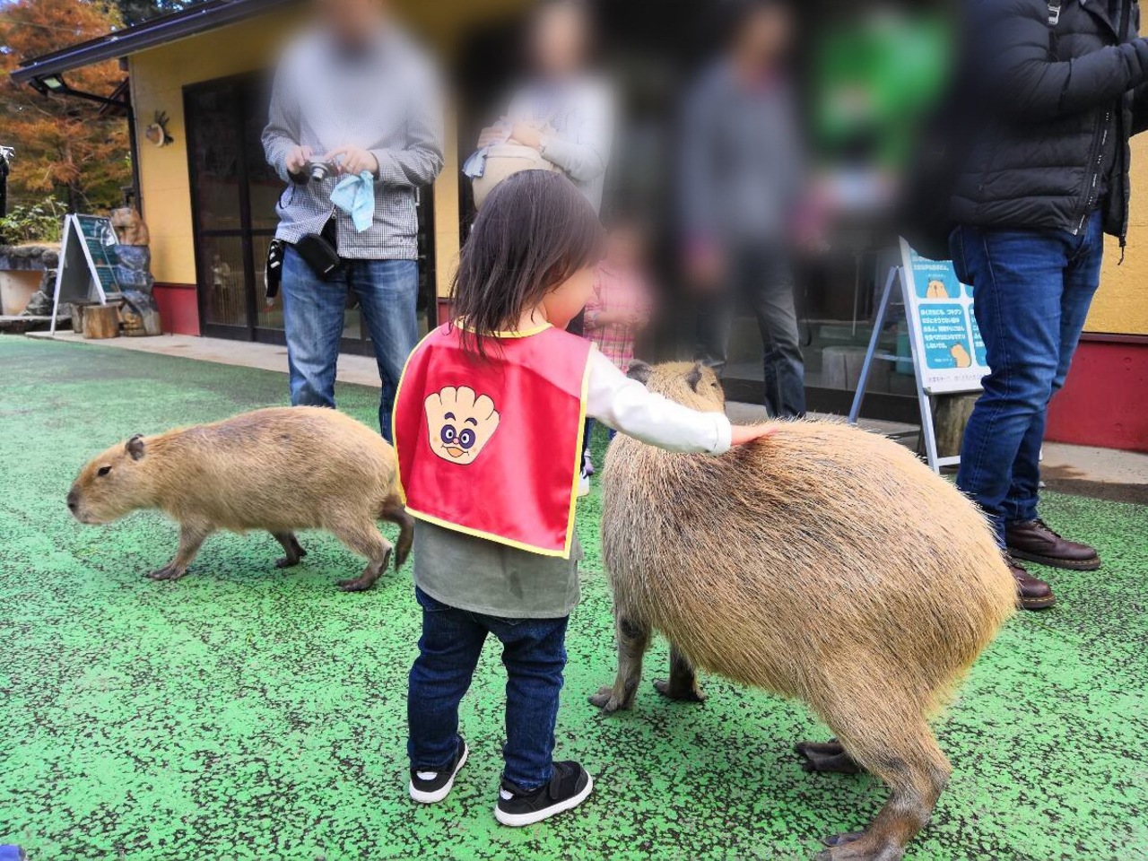 2歳8ヶ月の子連れ伊東温泉旅行 伊東温泉 静岡県 の旅行記 ブログ By イチさん フォートラベル 2歳8ヶ月の子連れ伊東温泉旅行 伊東温泉 静岡県 の旅行記 ブログ By イチさん フォートラベル