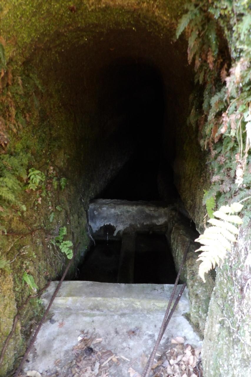 鎌倉に残る横井戸巡り 鎌倉 神奈川県 の旅行記 ブログ By ドクターキムルさん フォートラベル