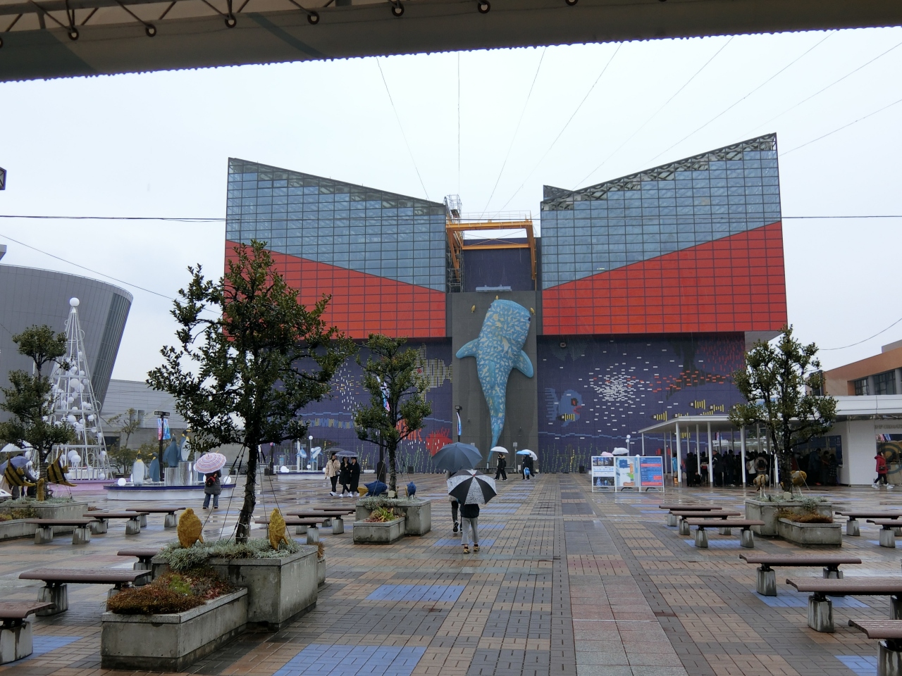 夫婦で大阪 南港にある海遊館デート 大阪ベイエリア 大阪 の旅行記 ブログ By ザッツマイアミさん フォートラベル