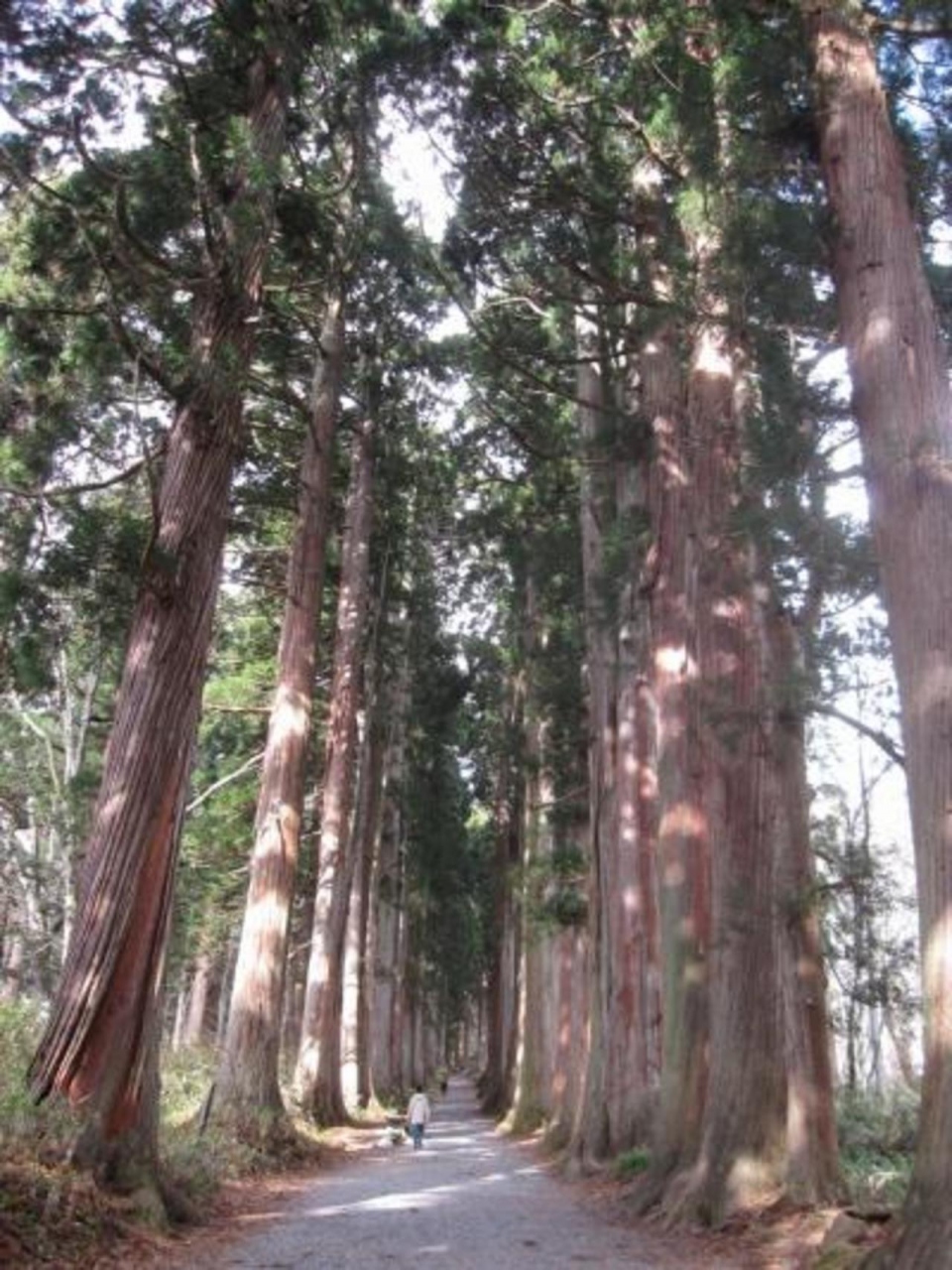戸隠神社 忍者からくり屋敷と善光寺 戸隠 鬼無里 長野県 の旅行記 ブログ By ブンコさん フォートラベル 戸隠神社 忍者からくり屋敷と善光寺 戸隠 鬼無里 長野県 の旅行記 ブログ By ブンコさん フォートラベル