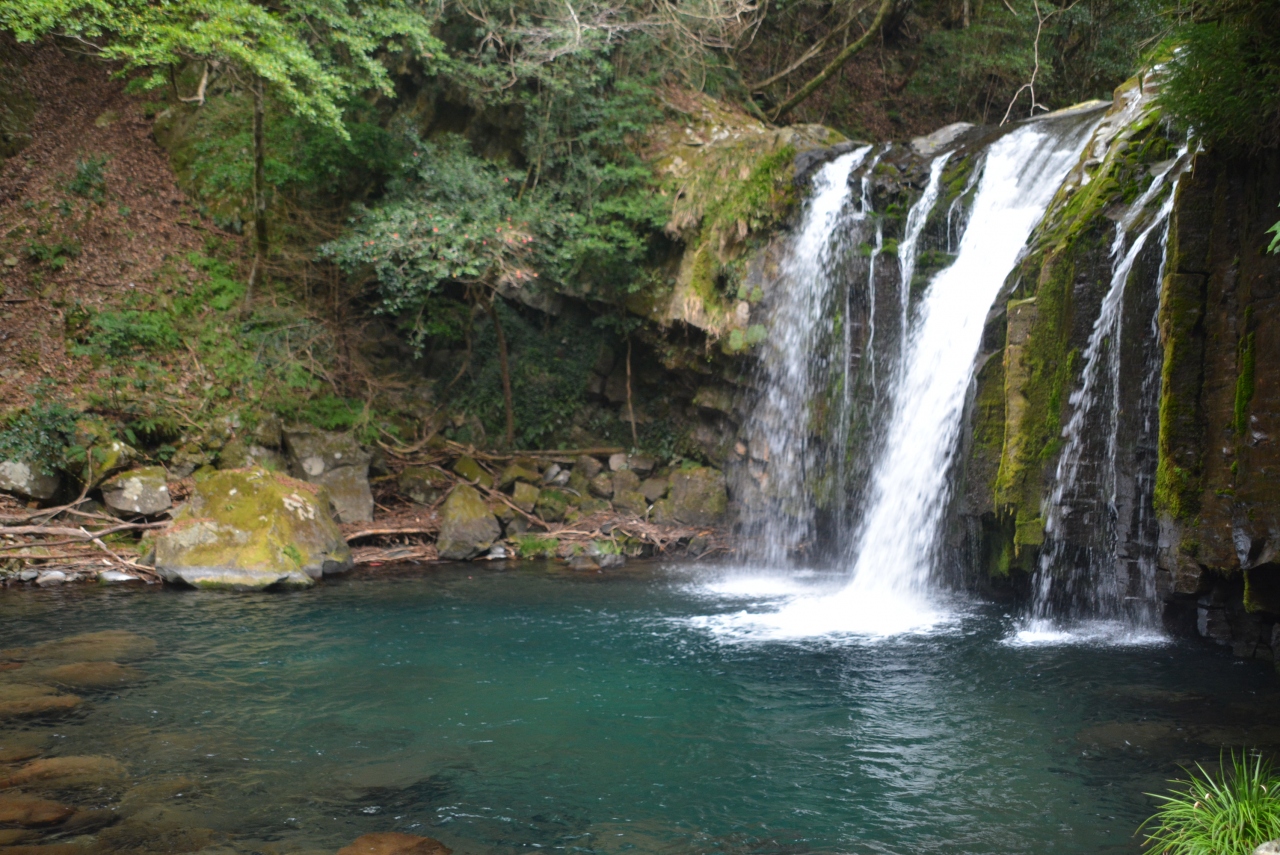 早春の伊豆 河津七滝 ハイキング 河津温泉郷 今井浜 静岡県 の旅行記 ブログ By しろくまクンクンさん フォートラベル