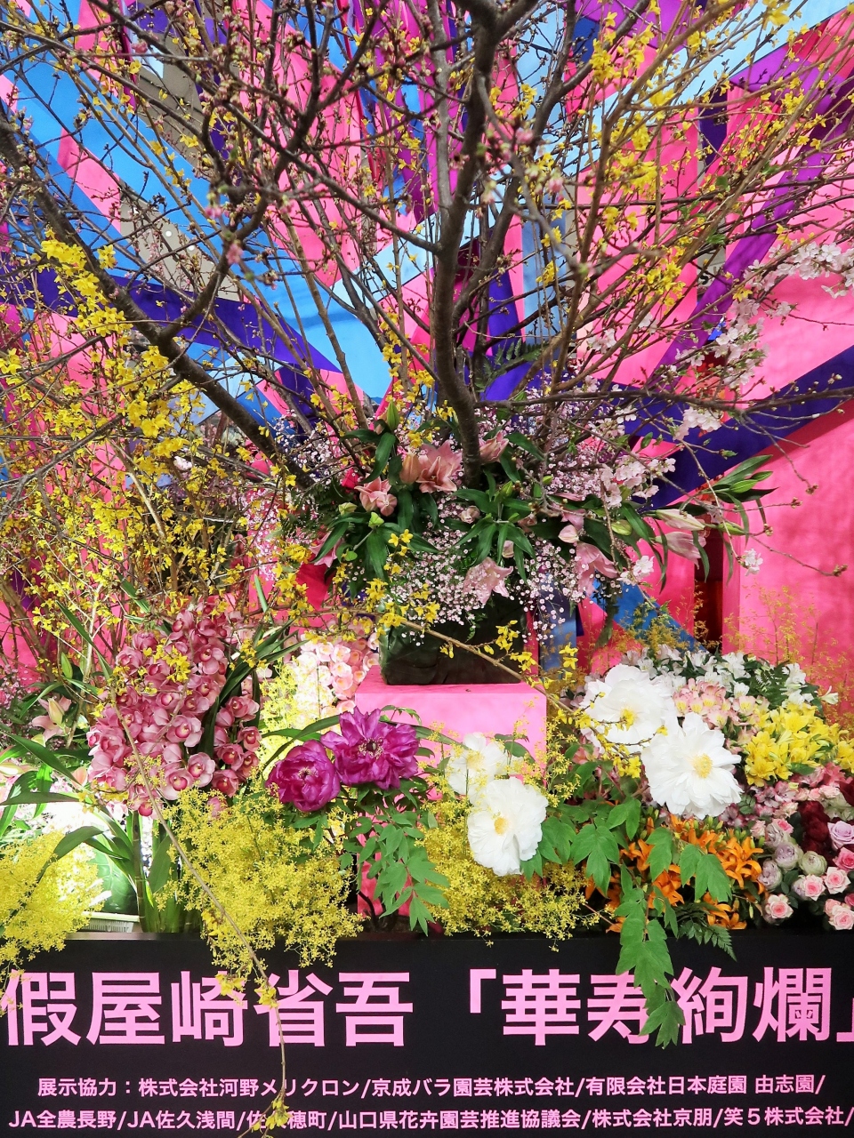 世界らん展 7 假屋崎 省吾 華寿絢爛 特別作品 着物を加えた秀麗 優美な世界 水道橋 東京 の旅行記 ブログ By マキタン2さん フォートラベル 世界らん展 7 假屋崎 省吾 華寿絢爛 特別作品 着物を加えた秀麗 優美な世界 水道橋 東京 の旅行記 ブログ By マキタン2さん フォートラベル