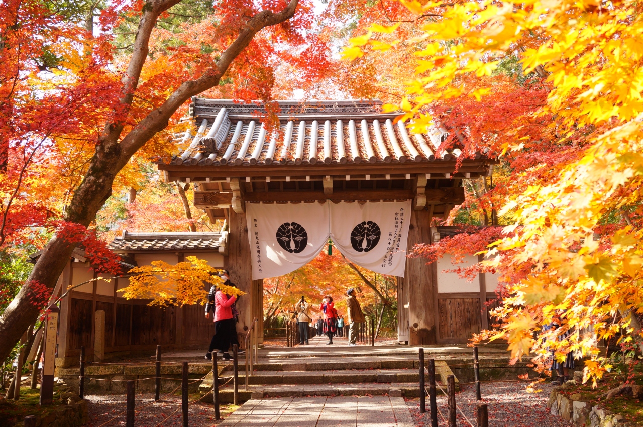 日帰り京都女子旅 その１ 京都の旅行記 ブログ By ピョンさん フォートラベル