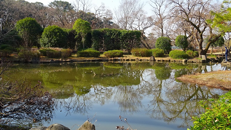 服部緑地公園 3 日本庭園と花の道に咲く花 伊丹空港 豊中 大阪 の旅行記 ブログ By Hn11さん フォートラベル 服部緑地公園 3 日本庭園と花の道に咲く花 伊丹空港 豊中 大阪 の旅行記 ブログ By Hn11さん フォートラベル