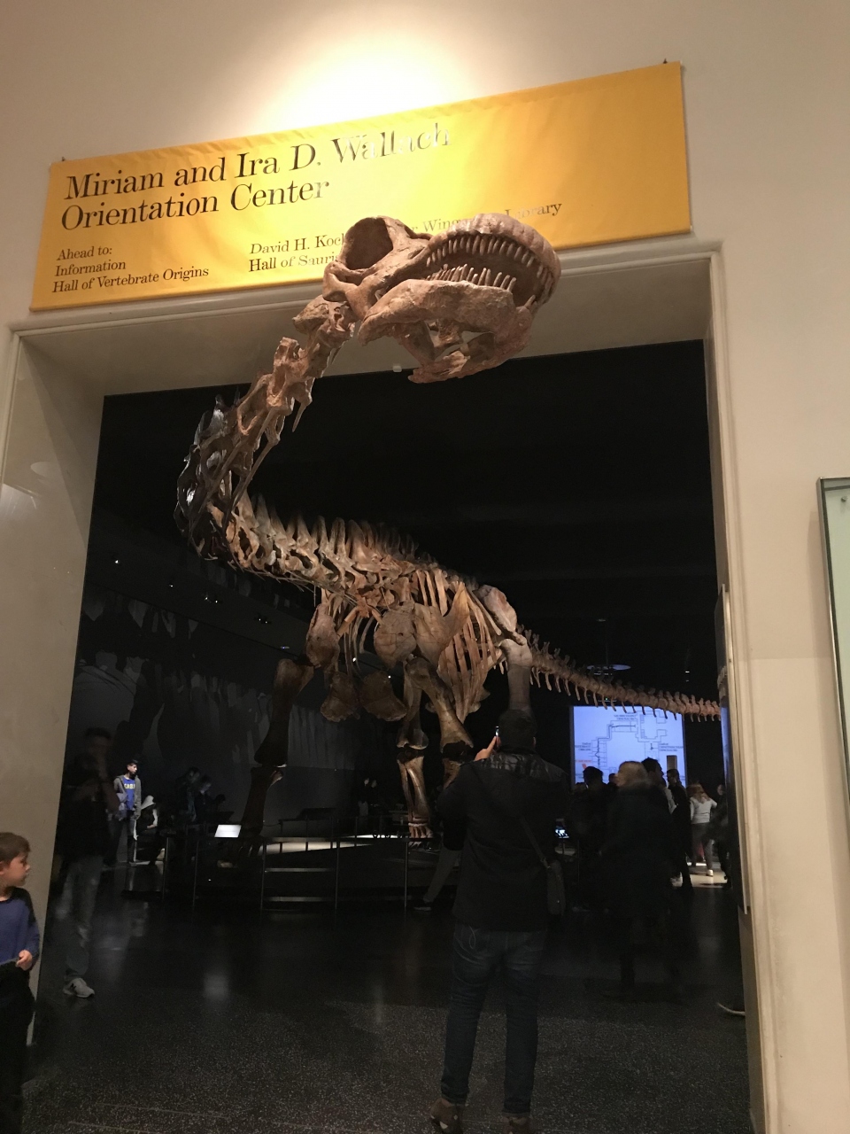 アメリカ自然史博物館に行ってきました ニューヨーク アメリカ の旅行記 ブログ By Heleさん フォートラベル