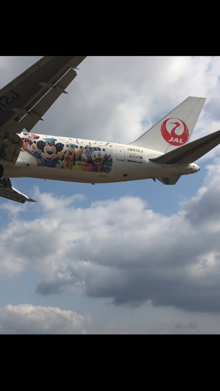 千里川土手 デビュー 伊丹空港 豊中 大阪 の旅行記 ブログ By たつのりんさん フォートラベル
