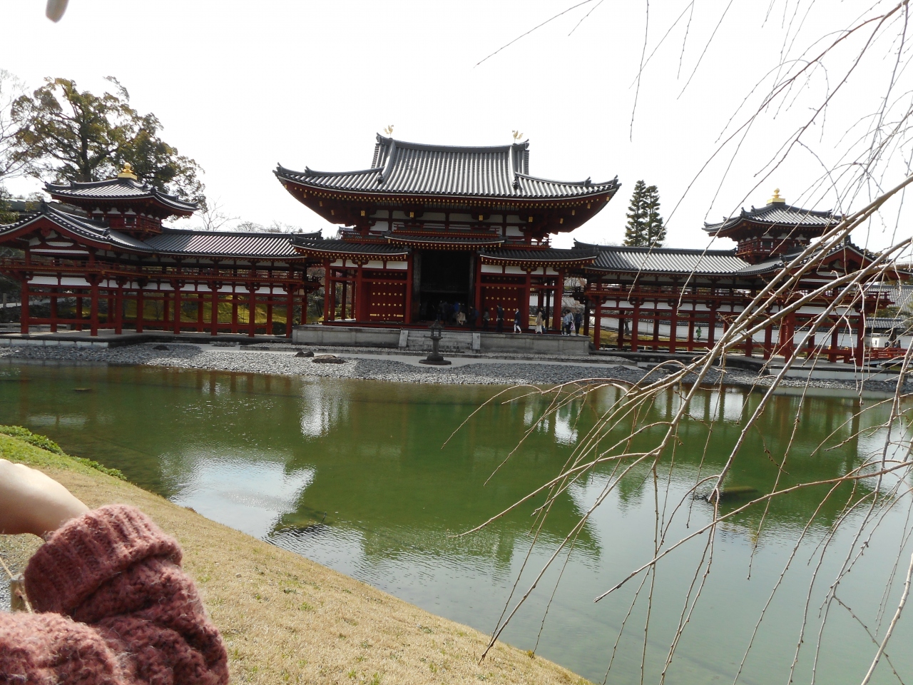 孫娘に連れられ 我々シニア夫婦が京都旅行 宇治平等院へ 宇治 京都 の旅行記 ブログ By Traveljyubeiさん フォートラベル 孫娘に連れられ 我々シニア夫婦が京都旅行 宇治平等院へ 宇治 京都 の旅行記 ブログ By Traveljyubeiさん フォートラベル