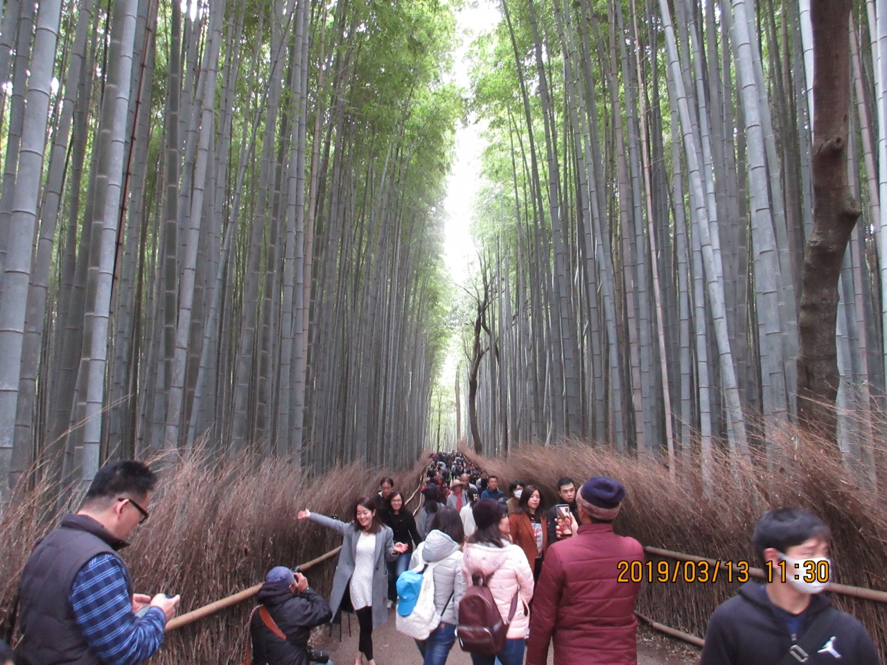 京都でいとこ会 ちょこっと福井 後編 福井市 福井県 の旅行記 ブログ By ニコニコさん フォートラベル 京都でいとこ会 ちょこっと福井 後編 福井市 福井県 の旅行記 ブログ By ニコニコさん フォートラベル