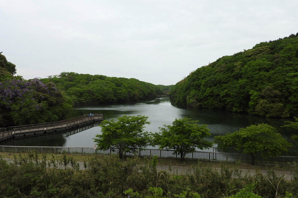 水郷県民の森でバードウォッチング 17 4 潮来 茨城県 の旅行記 ブログ By 潮来メジロさん フォートラベル 水郷県民の森でバードウォッチング 17 4 潮来 茨城県 の旅行記 ブログ By 潮来メジロさん フォートラベル