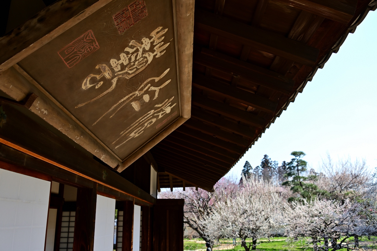 関東八州 季節の花の旅 弥生 梅 Part 2 梅が彩る江戸時代の藩校 弘道館と水戸城址巡り 水戸 茨城県 の旅行記 ブログ By 葵さん フォートラベル