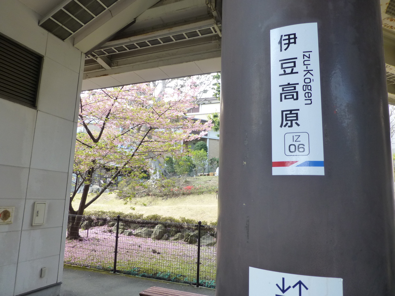 2019年春 アンダリゾート１泊 その２ 伊豆高原の桜を愛でる 伊豆高原 静岡県 の旅行記 ブログ By R2さん フォートラベル