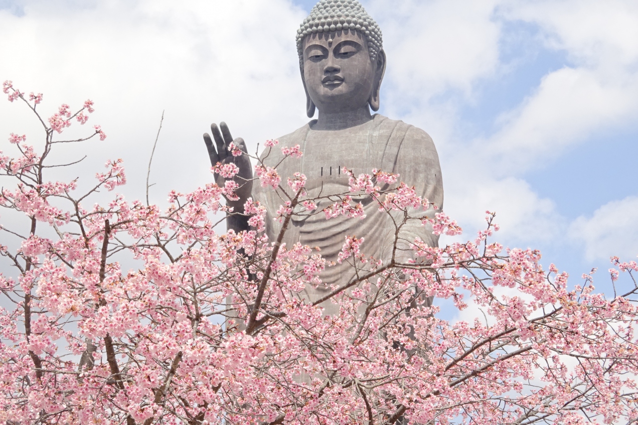 牛久大仏 さくら咲く 牛久 龍ヶ崎 茨城県 の旅行記 ブログ By Takeおじさん フォートラベル 牛久大仏 さくら咲く 牛久 龍ヶ崎 茨城県 の旅行記 ブログ By Takeおじさん フォートラベル