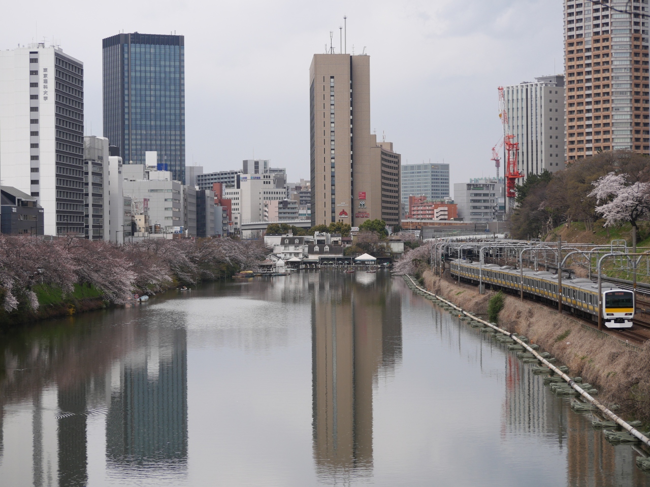 東京市ヶ谷 満開の靖国神社 外濠公園の さくらまつり19 を訪れて 市ヶ谷 東京 の旅行記 ブログ By Sakatomoさん フォートラベル