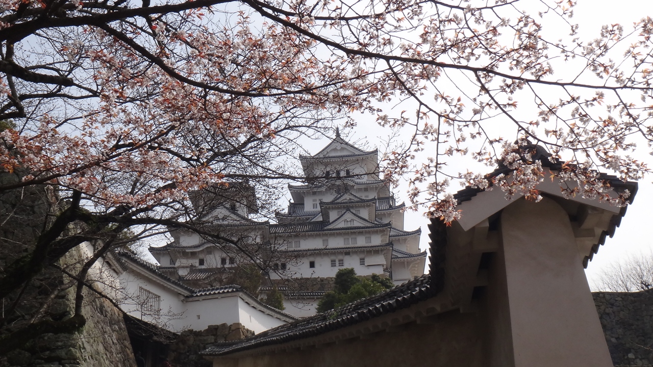 姫路城 西の丸経由で天守閣へ そして好古園 姫路 兵庫県 の旅行記 ブログ By Tono2さん フォートラベル