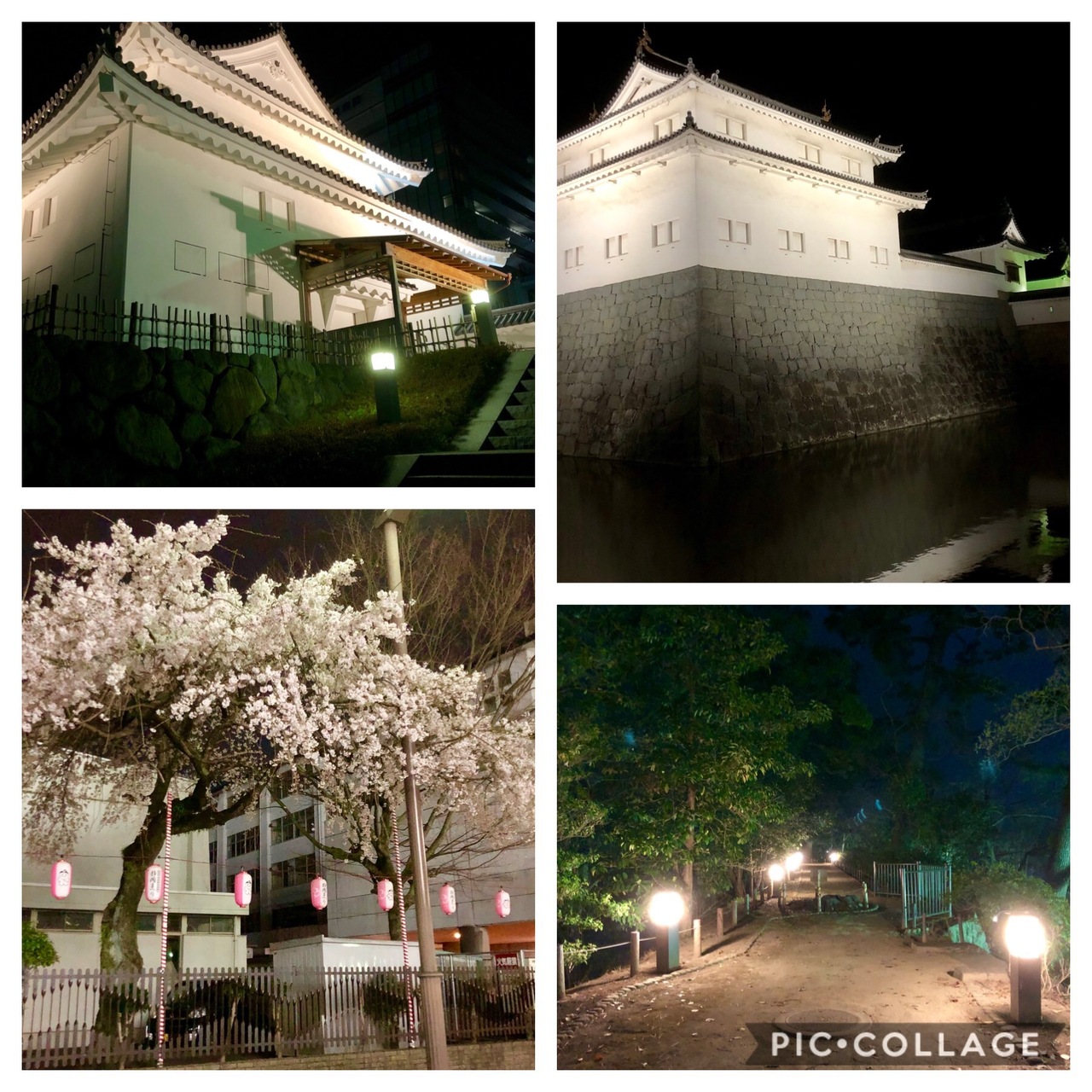 夜の静岡ぶらり 夜の駿府城 桜はまだかいな 静岡市 葵区 駿河区 静岡県 の旅行記 ブログ By エヌエヌさん フォートラベル