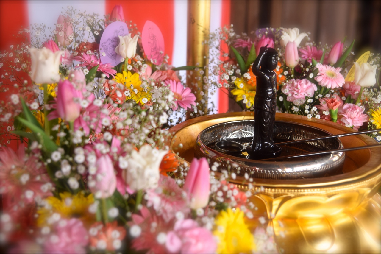 ひとりお花見部 18 花まつりは花御堂探し 三十三間堂 智積院 マルシン飯店 四日め前半篇 京都駅周辺 京都 の旅行記 ブログ By Middx さん フォートラベル ひとりお花見部 18 花まつりは花御堂探し 三十三間堂 智積院 マルシン飯店 四日め前半篇 京都駅周辺 京都 の旅行記 ブログ By Middx さん フォートラベル