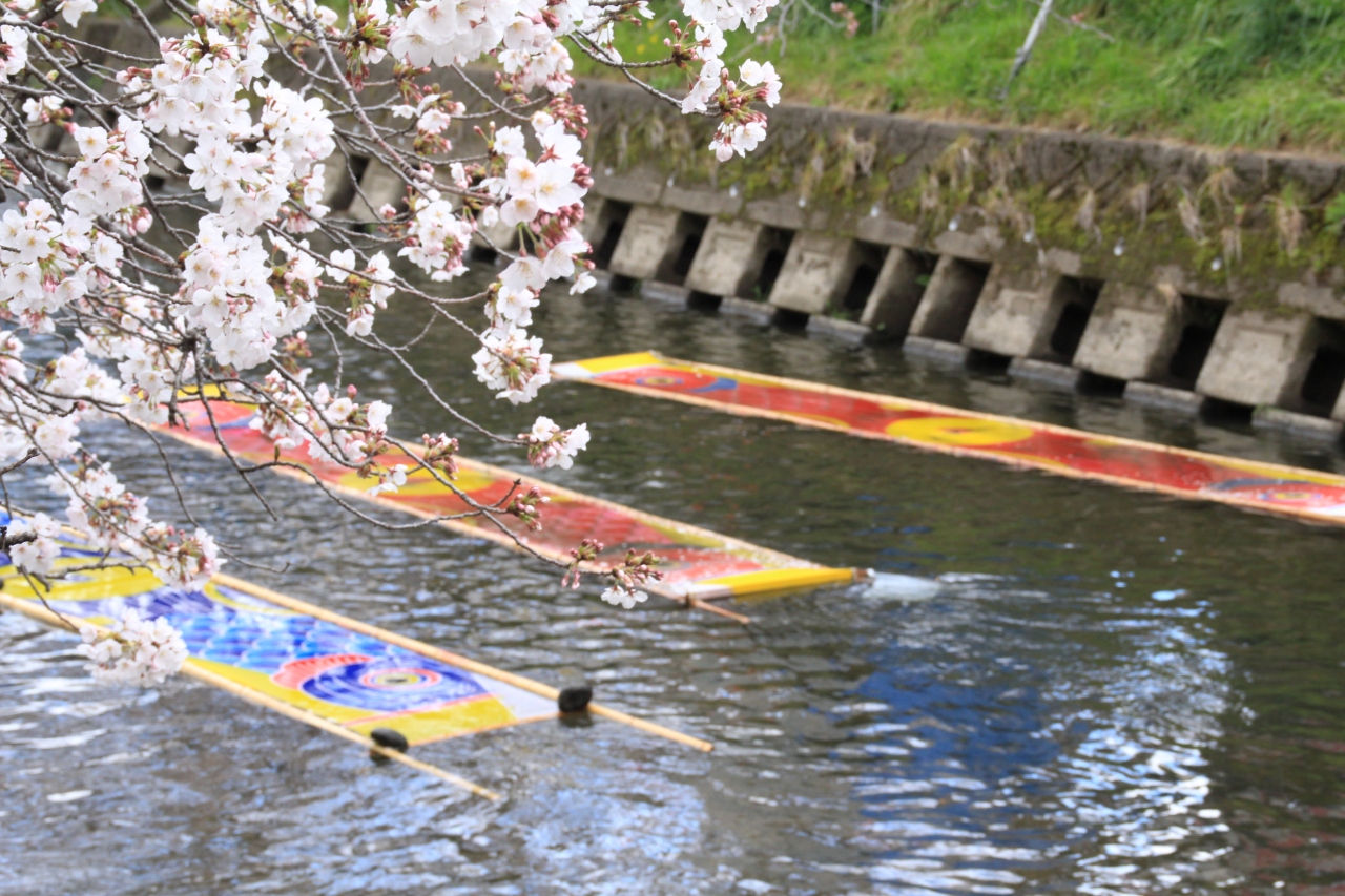 Petit Day Trip 新しい時代を迎えた 愛知の桜の名所 五条川 と のんぼり洗い 岩倉 江南 愛知県 の旅行記 ブログ By 旅行三昧さん フォートラベル