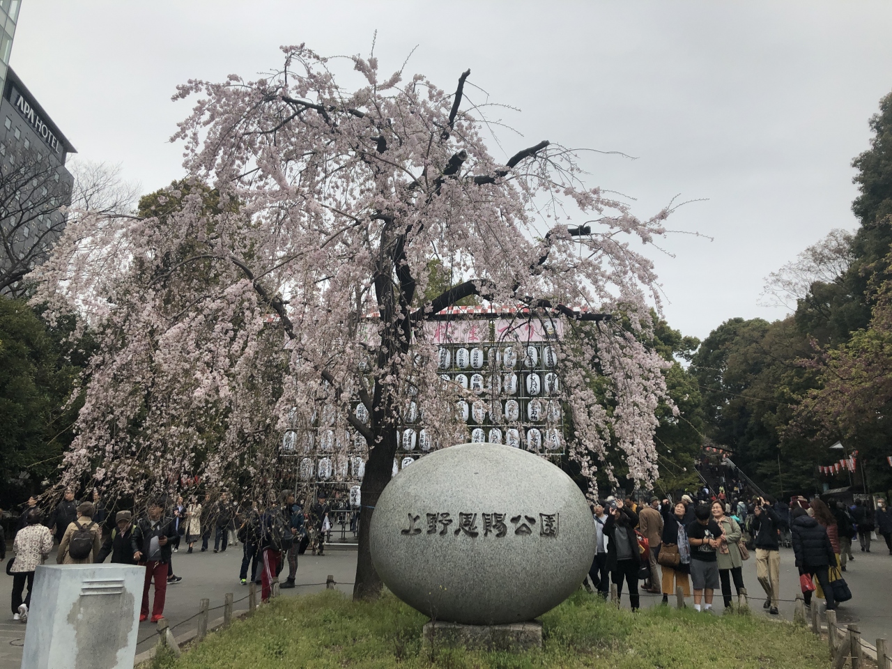 上野で金沢まいもん寿司とスイーツ堪能し おまけの上野恩賜公園で満開の桜鑑賞 上野 御徒町 東京 の旅行記 ブログ By クロック マダムさん フォートラベル 上野で金沢まいもん寿司とスイーツ堪能し おまけの上野恩賜公園で満開の桜鑑賞 上野 御徒町 東京 の旅行記 ブログ By クロック マダムさん フォートラベル