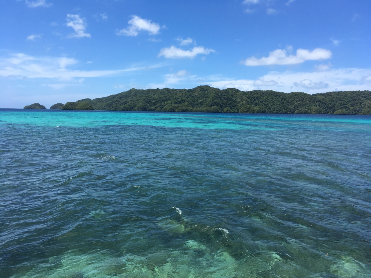卒業旅行は日本語が通じる国パラオ共和国へ 1日目 プライオリティパスを忘れて呆然とする パラオ パラオ の旅行記 ブログ By Jambarayaさん フォートラベル