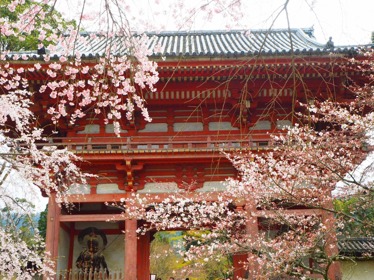 大阪ベースの京都観光2泊３日桜を求めて 2日目 京都駅周辺 京都 の旅行記 ブログ By Jalan Jalanさん フォートラベル