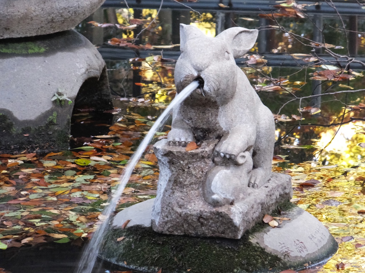 浦和でケーキとちょっぴり観光 埼玉県の旅行記 ブログ By きゅういとせろりさん フォートラベル 浦和でケーキとちょっぴり観光 埼玉県の旅行記 ブログ By きゅういとせろりさん フォートラベル