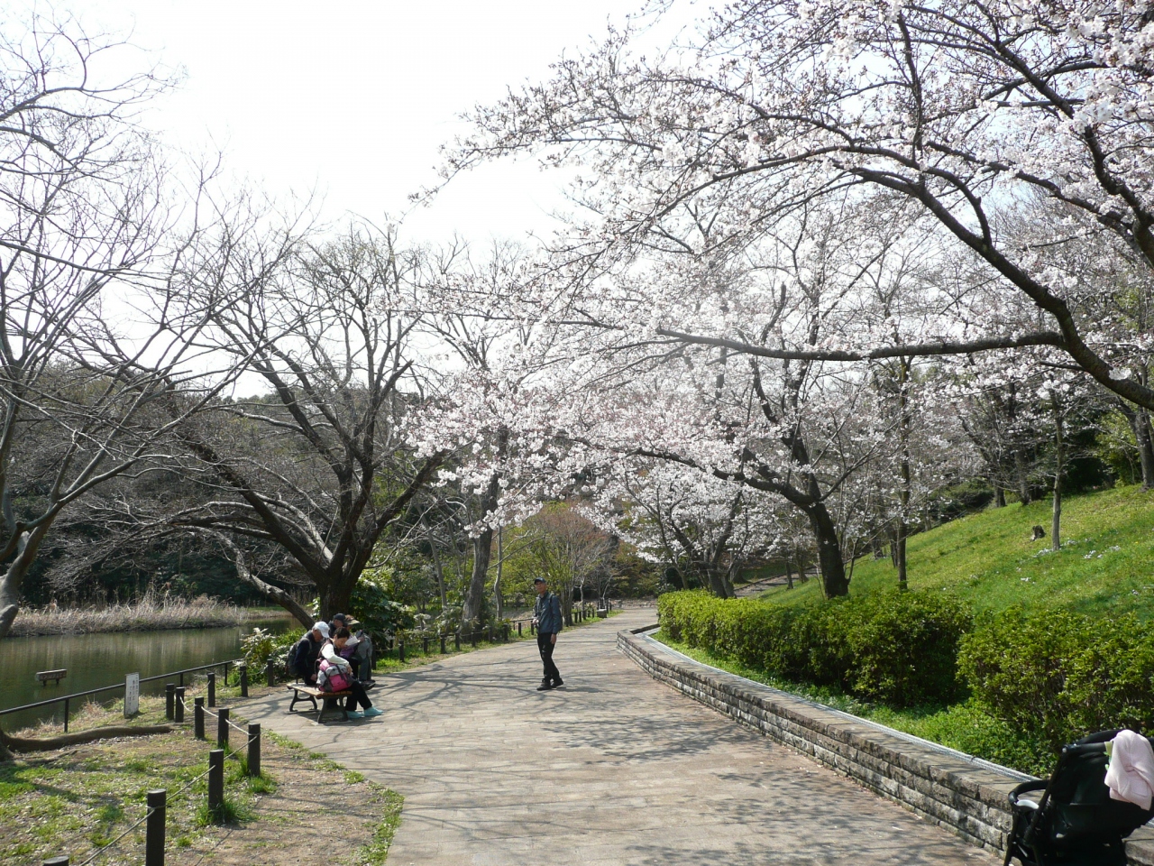 横浜市港北ニュータウン探訪 港北 長津田 青葉 神奈川県 の旅行記 ブログ By Masakatsu Yoshidaさん フォートラベル