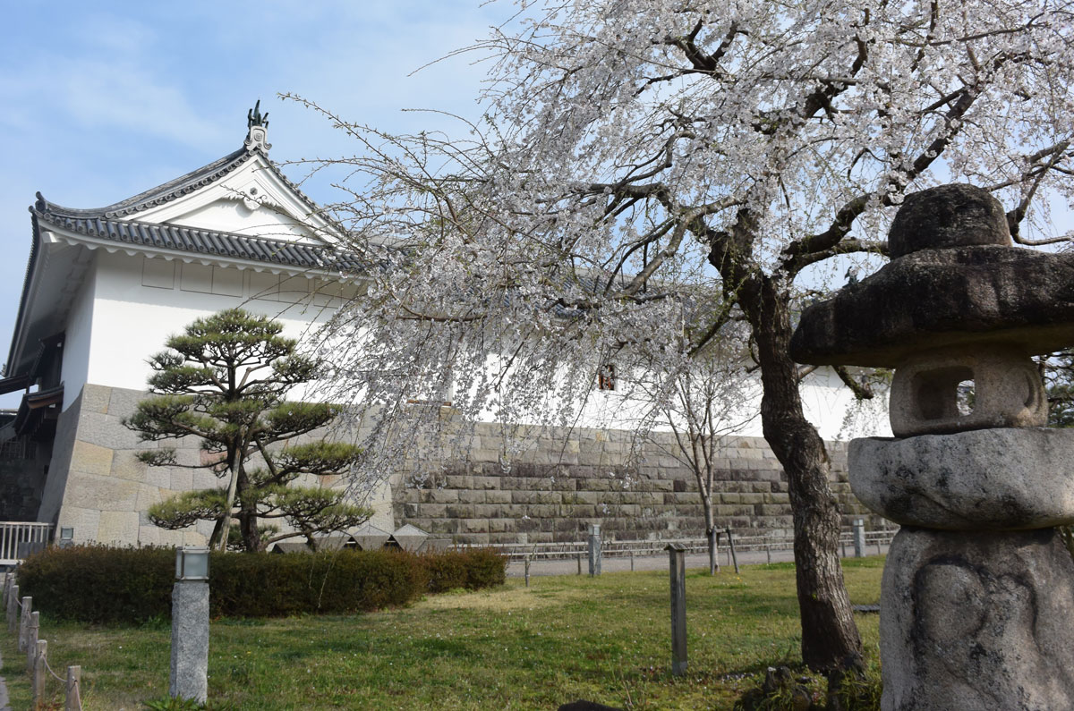 街ブラ 静岡市 駿府城お堀周辺 19 03 27 静岡市 葵区 駿河区 静岡県 の旅行記 ブログ By てんとう虫さん フォートラベル 街ブラ 静岡市 駿府城お堀周辺 19 03 27 静岡市 葵区 駿河区 静岡県 の旅行記 ブログ By てんとう虫さん フォートラベル