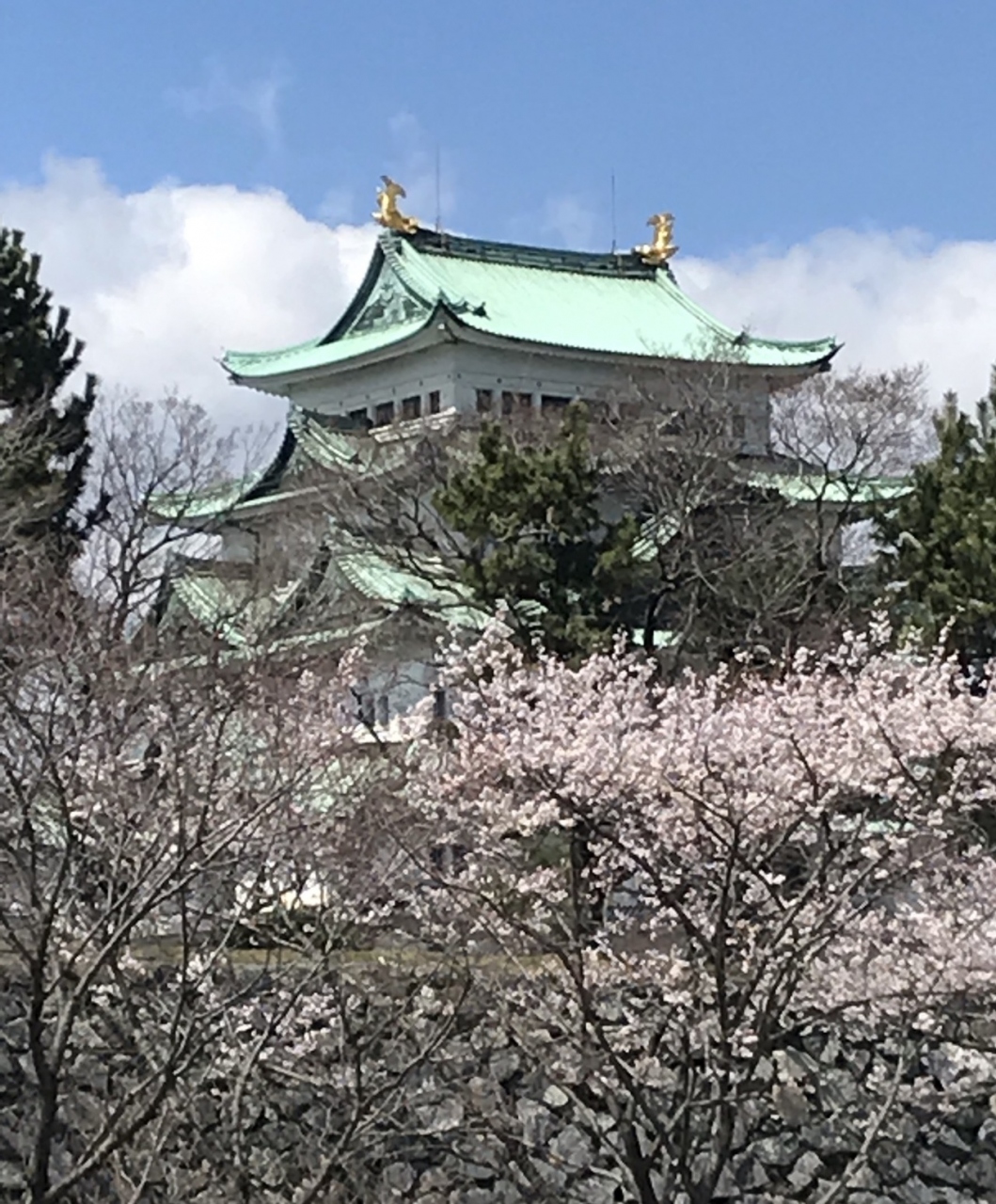 名古屋 長島 4歳 6歳子連れ 3泊4日 4日目 名古屋城家族旅行編 名古屋 愛知県 の旅行記 ブログ By Sunshineひかりさん フォートラベル