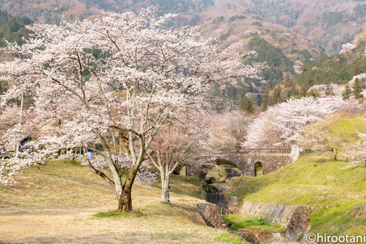 19年 東海の桜めぐり ４ 霞間ヶ渓の桜 岐阜県の旅行記 ブログ By Hirootaniさん フォートラベル