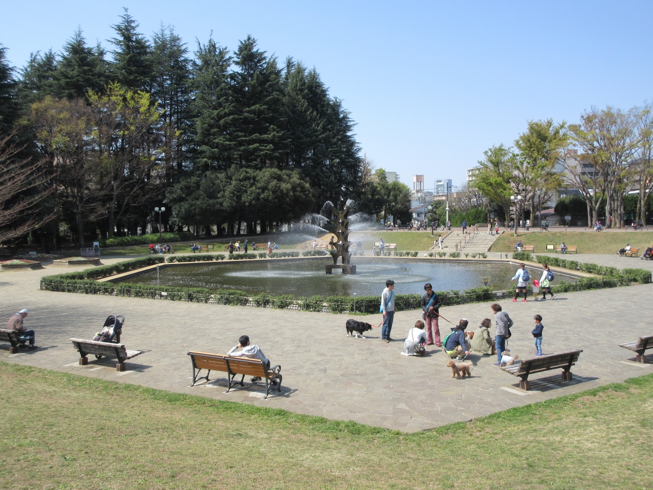 世田谷公園から世田谷観音に向かって歩きました 三軒茶屋 駒沢 東京 の旅行記 ブログ By ぷーちゃんさん フォートラベル