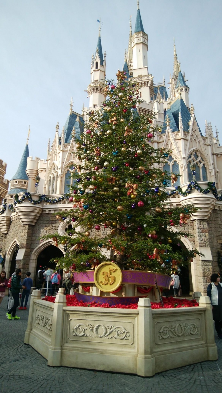 18時で閉園だけどちょうど良かったtdl 東京ディズニーリゾート 千葉県 の旅行記 ブログ By 恵比寿さん フォートラベル