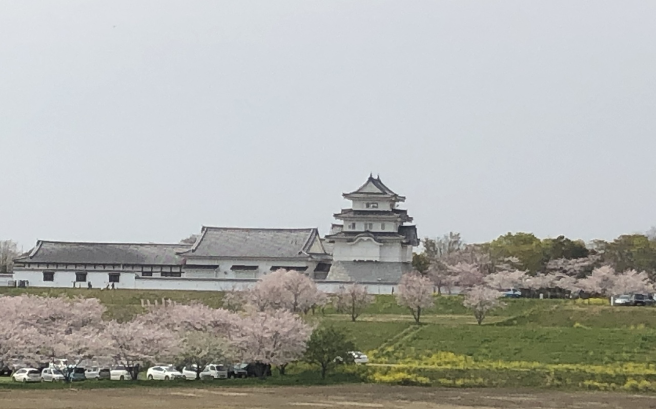 関宿城と清水公園で桜堪能 千葉県野田市 野田 関宿 千葉県 の旅行記 ブログ By Honeyさん フォートラベル