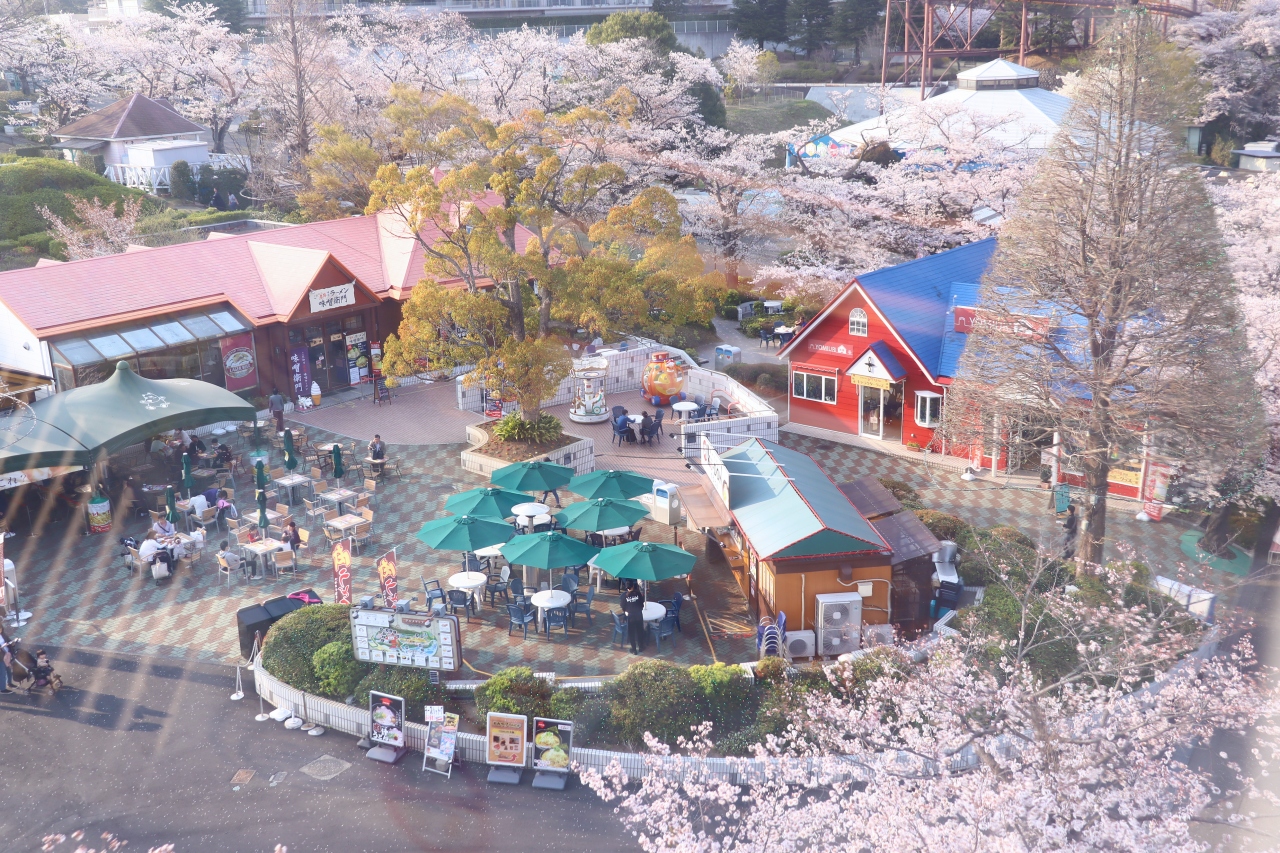 よみうりランド ゴンドラで空中桜散歩 国立 府中 稲城 東京 の旅行記 ブログ By Oakatさん フォートラベル