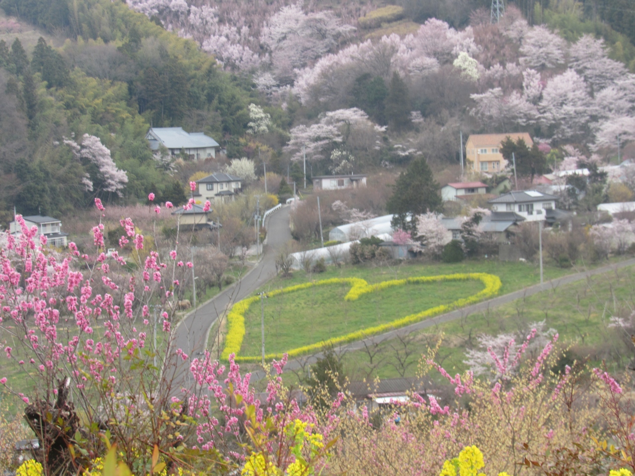 岳温泉再訪 幸手権現堂堤と花見山の桜はド満開 岳温泉 福島県 の旅行記 ブログ By もえいさん フォートラベル