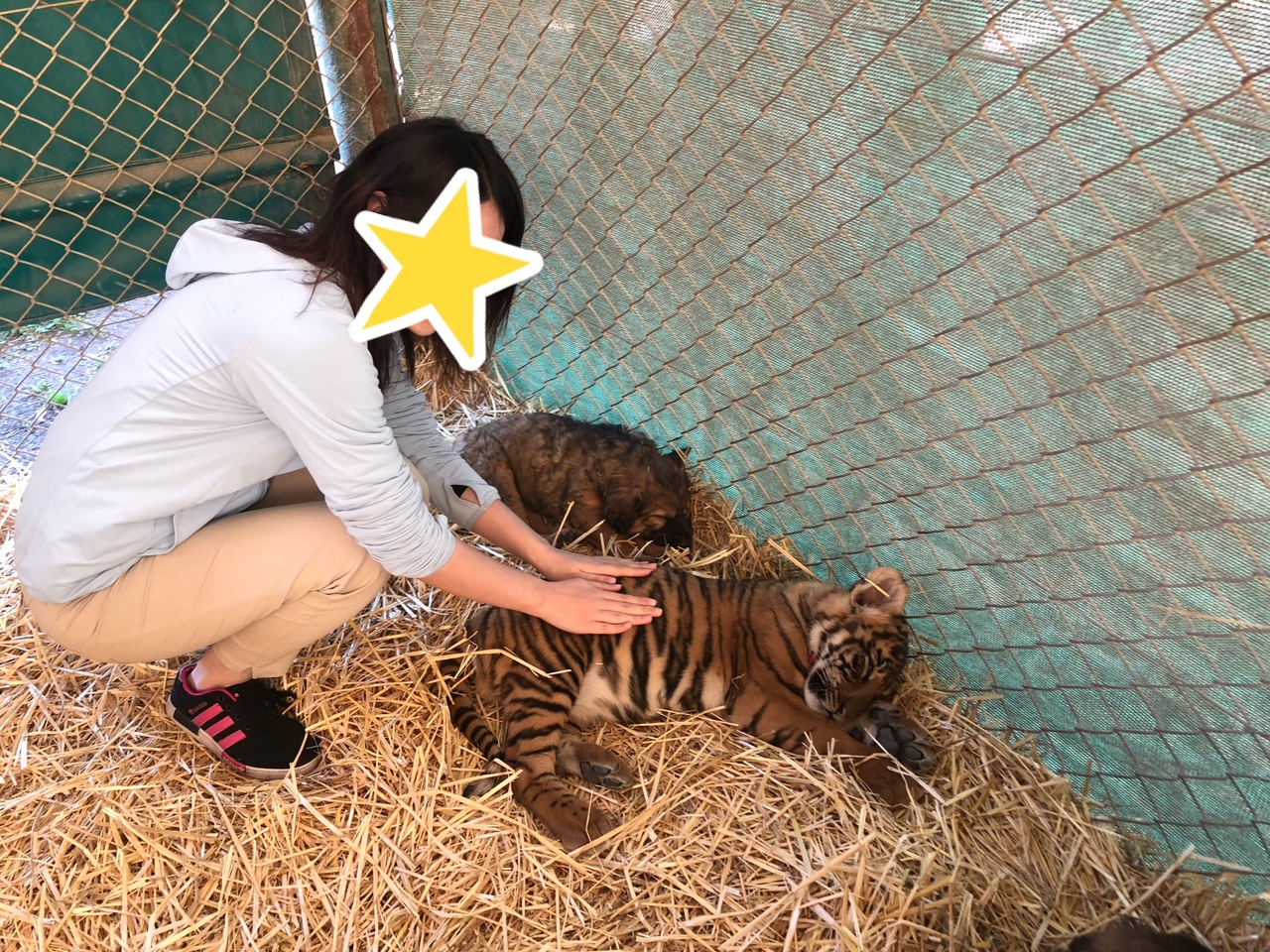 アルゼンチン編 あの猛獣と触れ合えるルハン動物園へ ブエノスアイレス アルゼンチン の旅行記 ブログ By もんろーさん フォートラベル