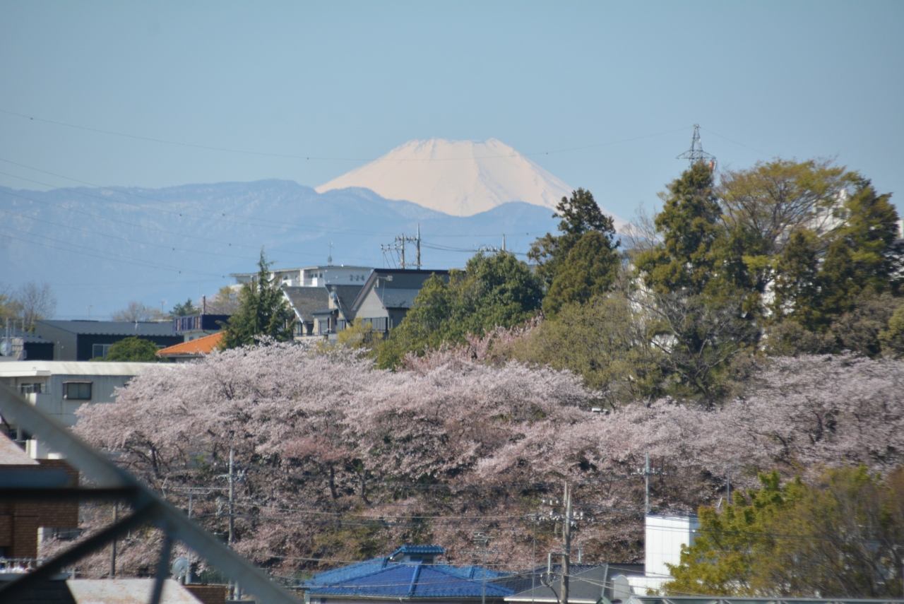 東京散歩 乞田川から都立桜ケ岡公園を抜け永山の10月桜の並木道を歩きました 東京の旅行記 ブログ By しろくまクンクンさん フォートラベル 東京散歩 乞田川から都立桜ケ岡公園を抜け永山の10月桜の並木道を歩きました 東京の旅行記 ブログ By しろくまクンクンさん フォートラベル