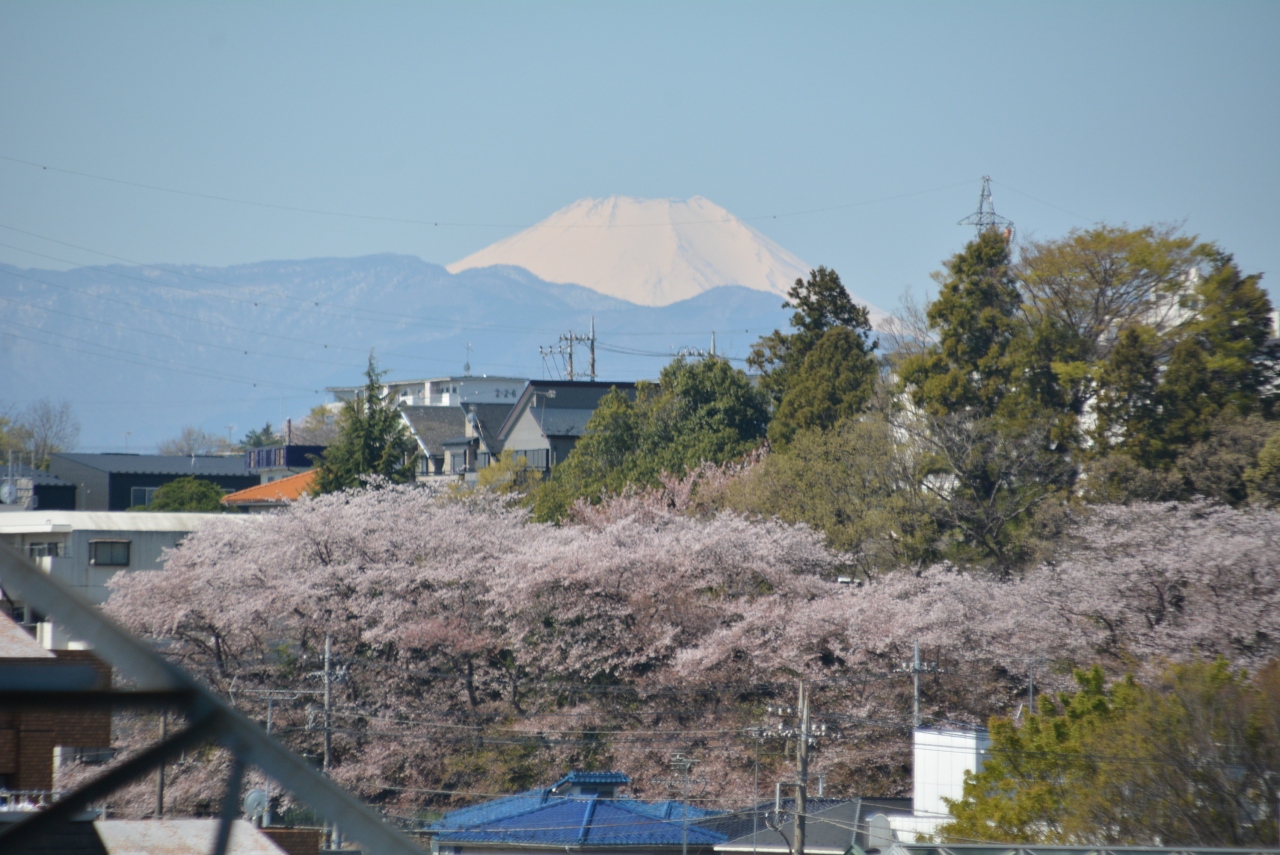 東京散歩 乞田川から都立桜ケ岡公園を抜け永山の10月桜の並木道を歩きました 東京の旅行記 ブログ By しろくまクンクンさん フォートラベル