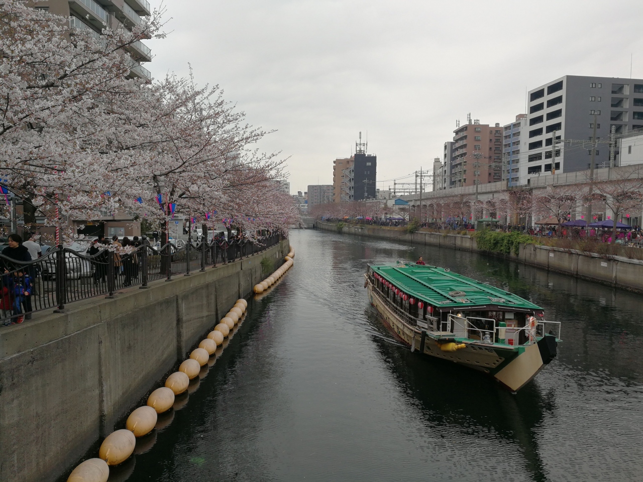不良夫婦 大岡川桜まつりへ 横浜 神奈川県 の旅行記 ブログ By Taxnaxさん フォートラベル