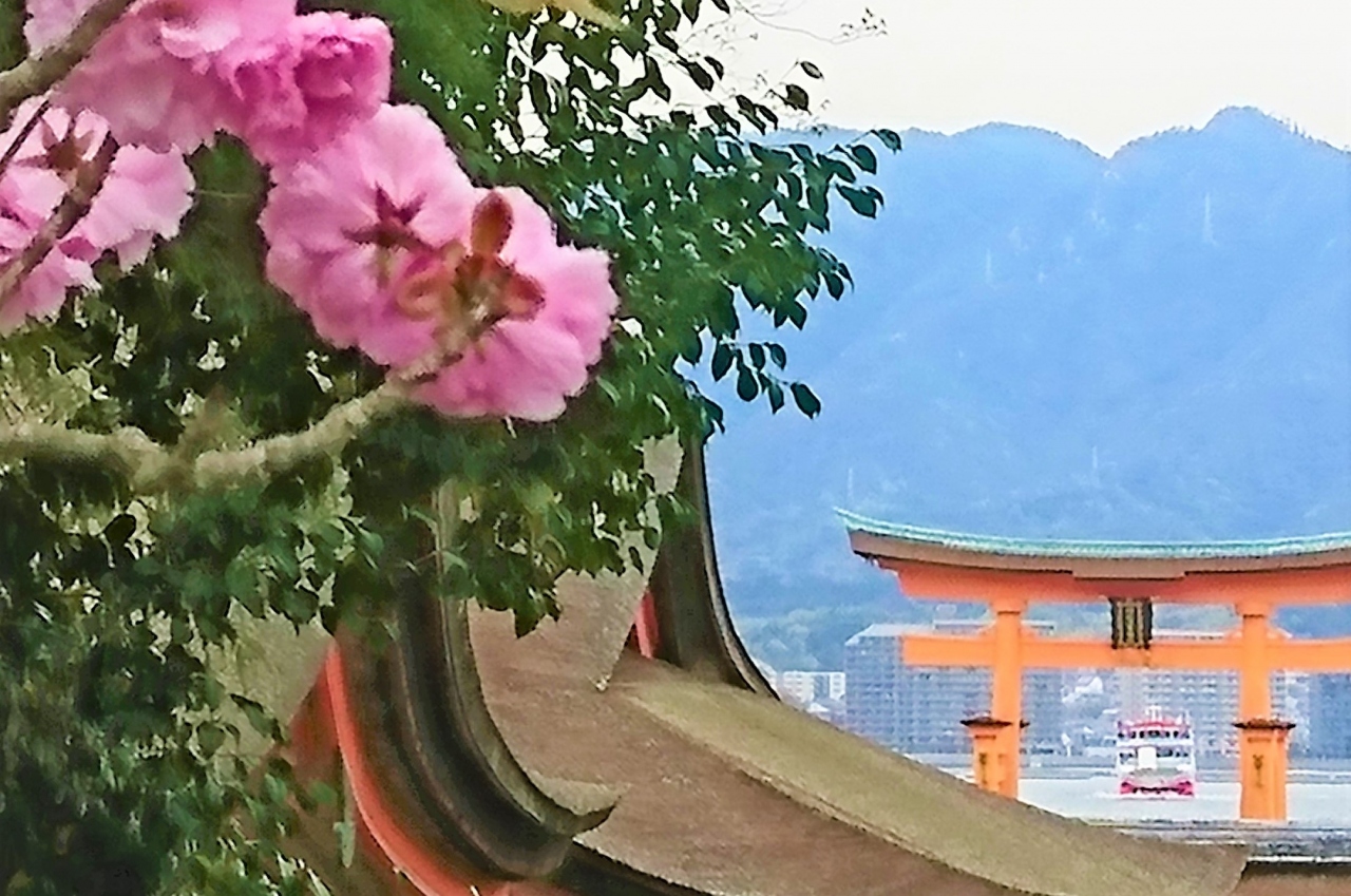 19年4月旅 安芸の宮島 広島ぶちうまいけぇ 広島県の旅行記 ブログ By Hore さん フォートラベル