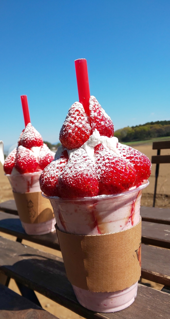 Very Berry Smoothei いちごスムージー店 小山 栃木県 の旅行記 ブログ By Amさん フォートラベル