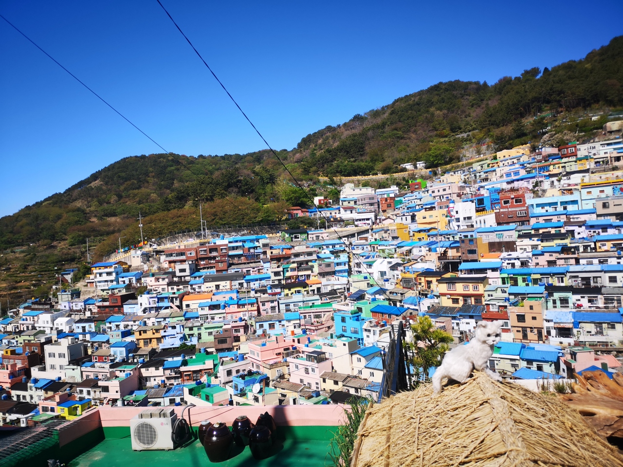 観光したプサン 釜山 韓国 の旅行記 ブログ By なかひとさん フォートラベル