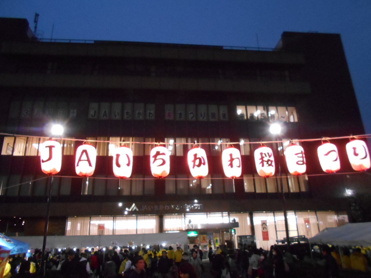 市川夜桜 市川 千葉県 の旅行記 ブログ By ガリゾーさん フォートラベル