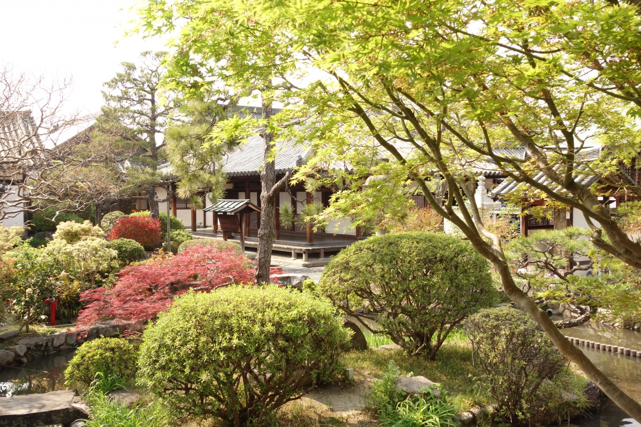 奈良公園からならまち界隈 色々と散策 奈良市 奈良県 の旅行記 ブログ By とある和菓子好きさん フォートラベル 奈良公園からならまち界隈 色々と散策 奈良市 奈良県 の旅行記 ブログ By とある和菓子好きさん フォートラベル