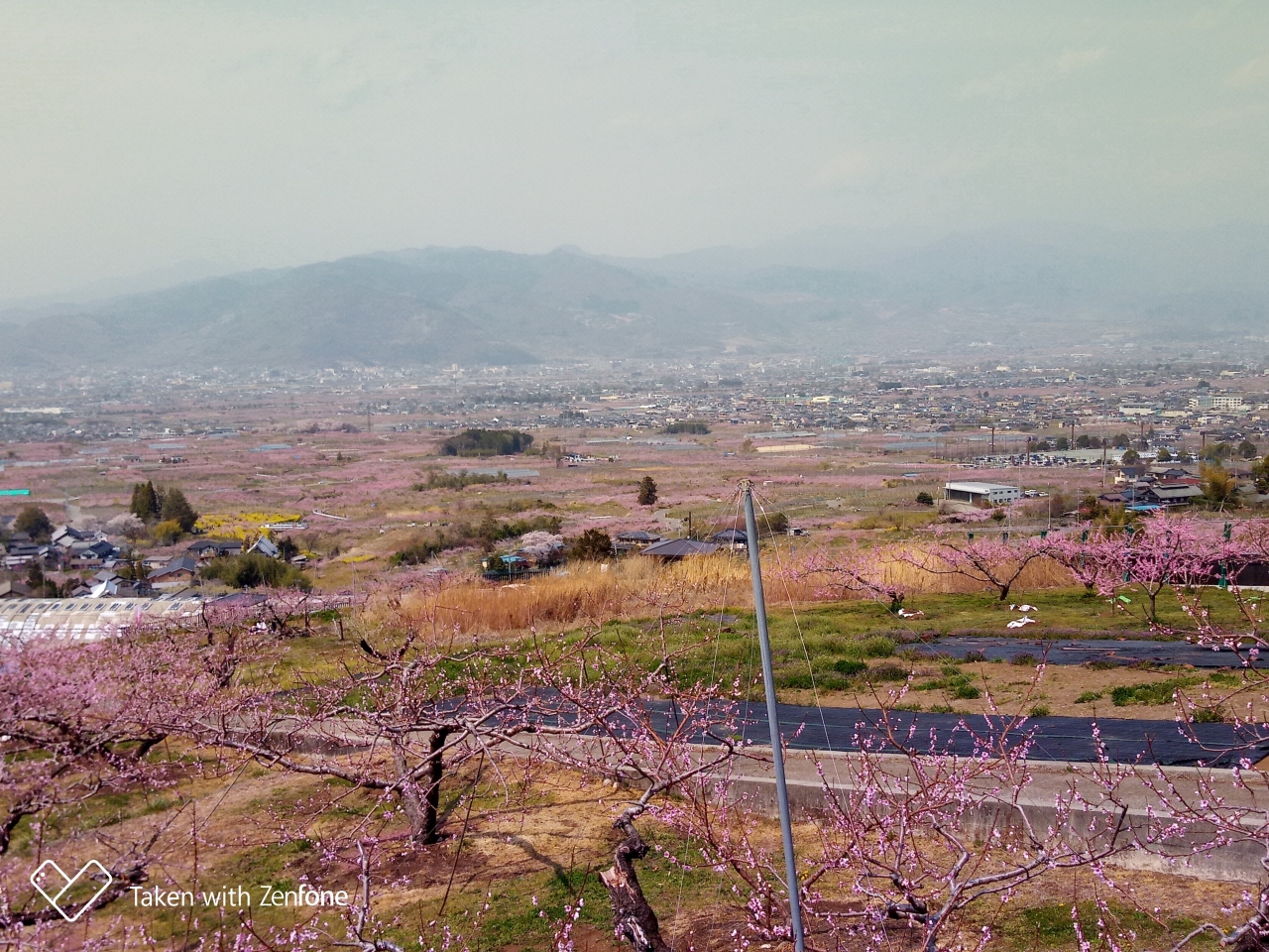 桃の花まつり 笛吹 山梨県 の旅行記 ブログ By Kichunekoさん フォートラベル